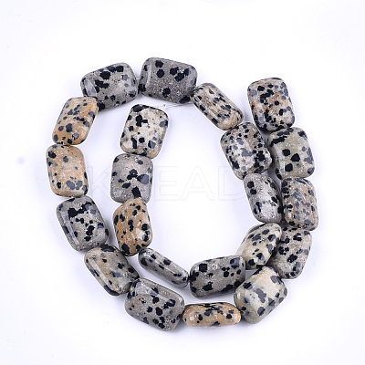 Natural Dalmatian Jasper Beads Strands X-G-T121-16-1
