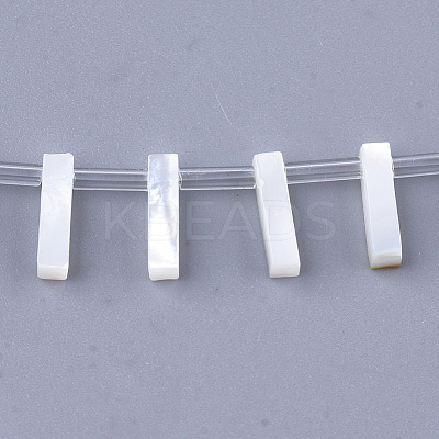 Natural Sea Shell Beads SHEL-T012-60I-1