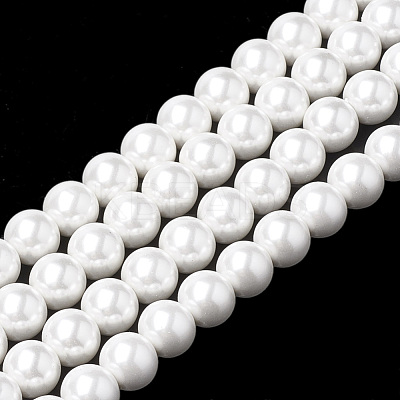 Shell Pearl Beads Strands X-BSHE-S301-8mm-04-1
