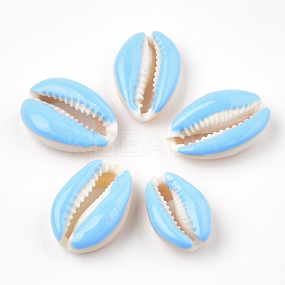 Natural Cowrie Shell Beads X-SHEL-S274-04B-1