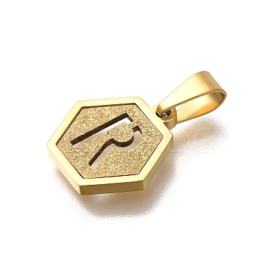 304 Stainless Steel Charms LS-STAS-H227-01G-R-1