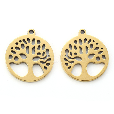 304 Stainless Steel Pendants STAS-N092-09G-1