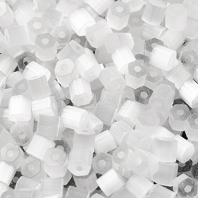 Glass Seed Beads SEED-H002-D-A801-1