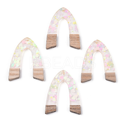 Transparent Resin & White Wood Pendants RESI-N039-32-1