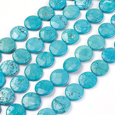 Natural Magnesite Beads Strands TURQ-P027-85-20MM-1