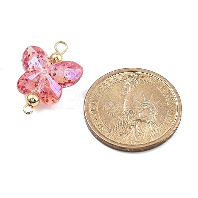 Transparent Acrylic Glitter Butterfly Connector Charms PALLOY-JF02958-1