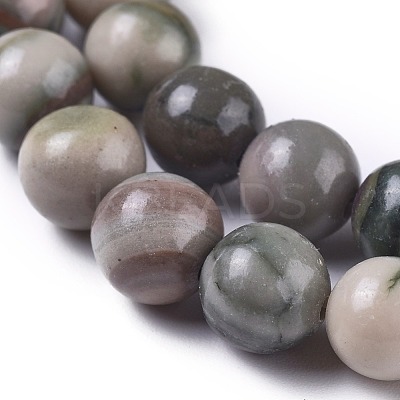 Natural Zebra Jasper Beads Strands G-E551-C-03-1