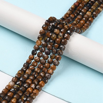 Natural Tiger Eye Beads Strands G-P500-02A-02-1