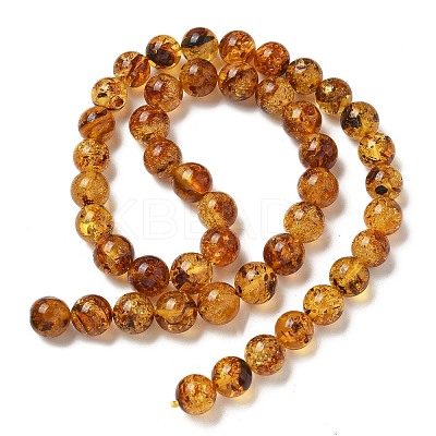 Natural Amber Beads Strands G-K387-D02-02-1