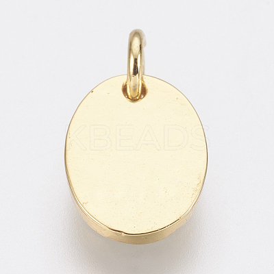 Brass Enamel Charms ZIRC-F083-027G-01-RS-1