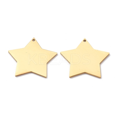 304 Stainless Steel Pendant STAS-Y006-37A-G-1