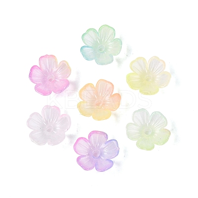 Transparent Plastic Bead Caps KY-Q005-02A-M01-1