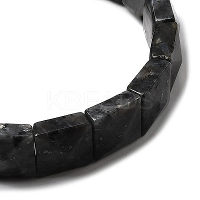 Natural Larvikite Beads Stretch Bracelets for Women Men BJEW-C097-06-06-1