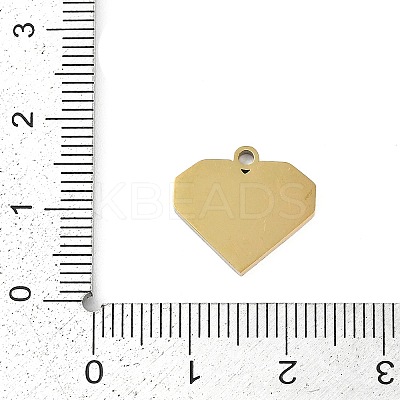304 Stainless Steel Charms STAS-I325-136E-G-1
