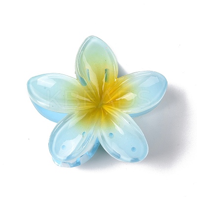 Plastic Claw Hair Clips OHAR-P020-08-1