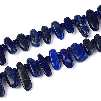Natural Lapis Lazuli Beads Strands G-Z091-A23-1