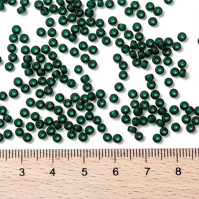 MIYUKI Round Rocailles Beads X-SEED-G008-RR0156F-1