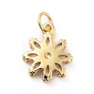 Rack Plating Brass Micro Pave Cubic Zirconia Charms ZIRC-F129-34B-G-1