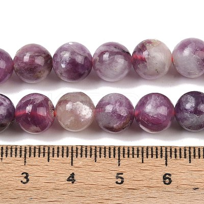 Natural Lepidolite/Purple Mica Stone Beads Strands G-G160-A01-01A-1