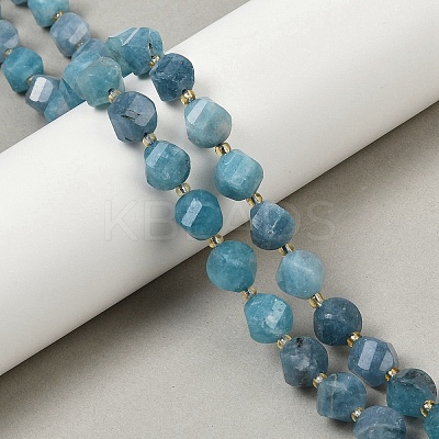 Dyed Natural Jade Beads Strands G-U023-A20-01F-1