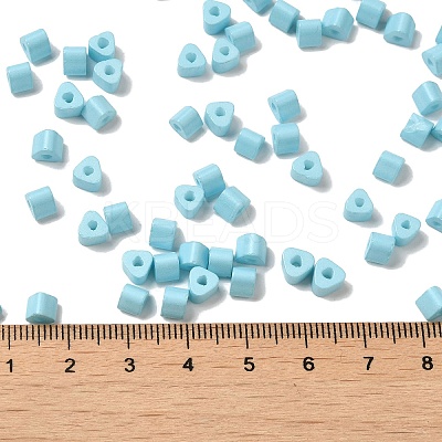 Baking Paint Glass Bead SEED-H002-K-D322-1