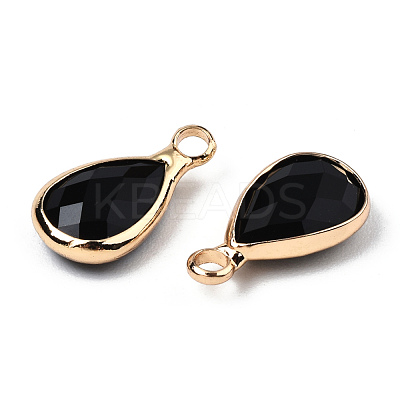 K9 Glass Charms GLAA-N038-21-1