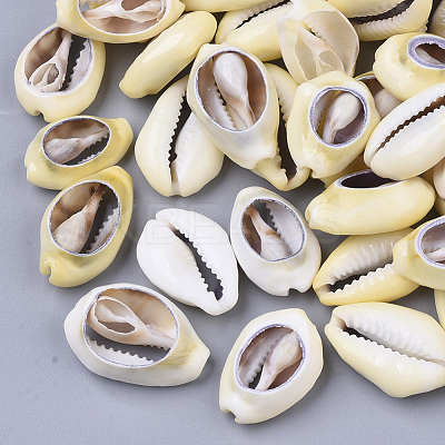 Natural Cowrie Shell Beads SSHEL-N034-28-1