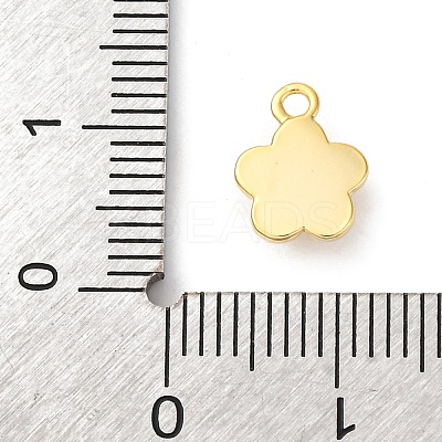 Brass Micro Pave Cubic Zirconia Charms KK-D371-04A-G-1