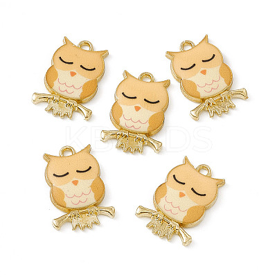 Painted Alloy Pendants PALLOY-P288-01G-03-1
