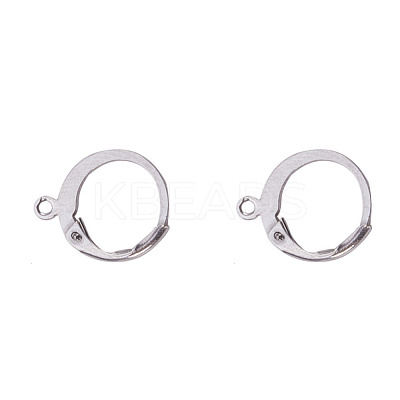 Tarnish Resistant 304 Stainless Steel Leverback Earring Findings STAS-I045-02-1