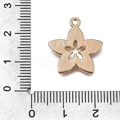 Alloy with Enamel Pendants AL-CBA2F44-01G-01-1