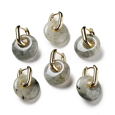 Rack Plating Brass Hoop Earrings EJEW-M248-01G-03-1