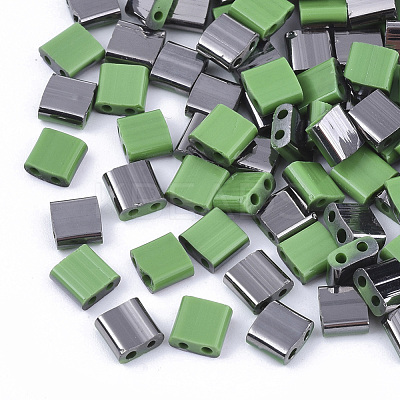FGB 2-Hole Glass Seed Beads X-SEED-S031-L-047-H-1