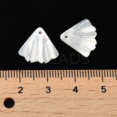Natural White Shell Charms SSHEL-M022-08-1