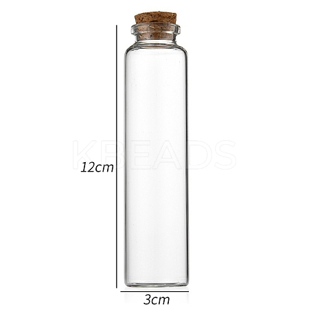 Glass Bottle CON-WH0085-71H-1