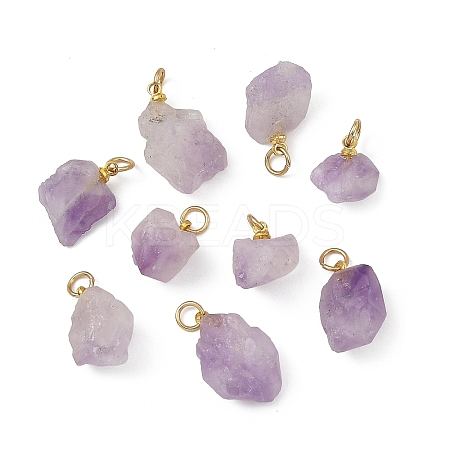 Raw Rough Natural Amethyst Pendants PALLOY-JF05951-1