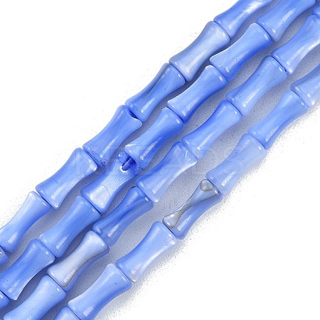 Natural Freshwater Shell Beads Strands SHEL-G013-01I-1