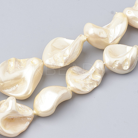 Shell Pearl Beads Strands BSHE-Q031-15H-1