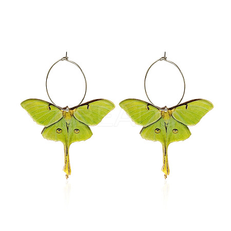 Butterfly Alloy Acrylic Hoop Earrings FS-WG09DCE-01-1