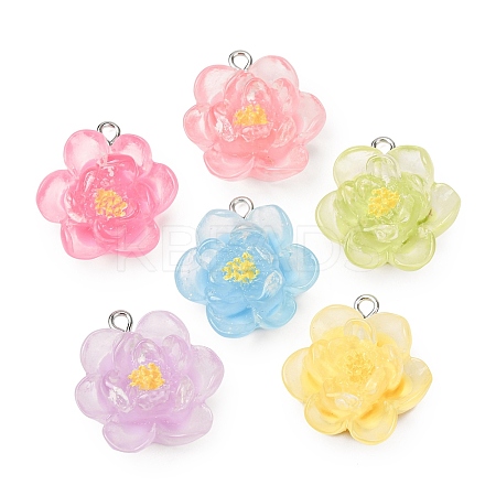 Transparent Resin Pendants RE-CBA5F64-02-1