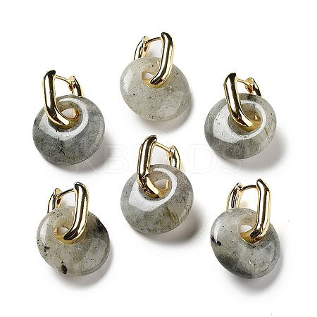 Rack Plating Brass Hoop Earrings EJEW-M248-01G-03-1