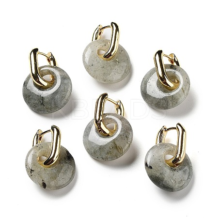 Rack Plating Brass Hoop Earrings EJEW-M248-01G-03-1