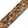 Natural Picture Jasper Beads Strands G-I326-09-1