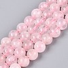 Natural Rose Quartz Beads Strands G-Q601-13A-08-2
