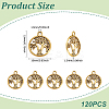 120Pcs Tibetan Style Alloy Pendants FIND-UN0007-20AG-3