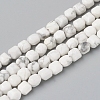 Natural Howlite Beads Strands G-I270-09-1