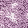 MGB Matsuno Glass Beads X-SEED-R017A-772-2