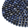 Natural Sodalite Beads Strands G-P573-B17-01-3