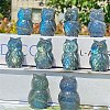 Natural Labradorite Carved Healing Owl Figurines PW-WG54127-01-1