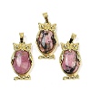 Natural Rhodonite Pendant KK-F887-02G-08-1